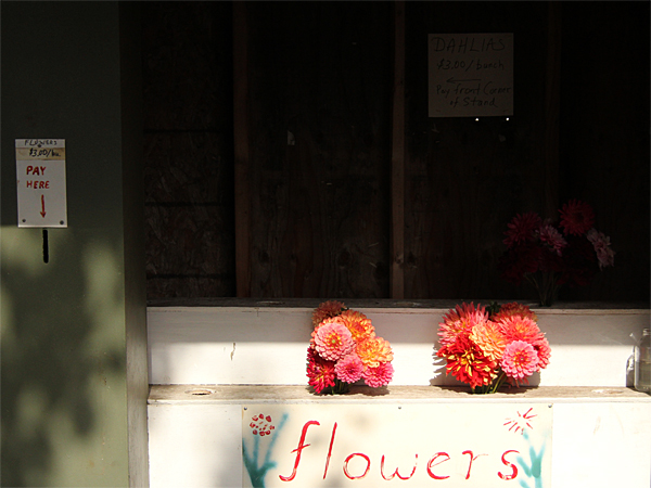 Flowers3
