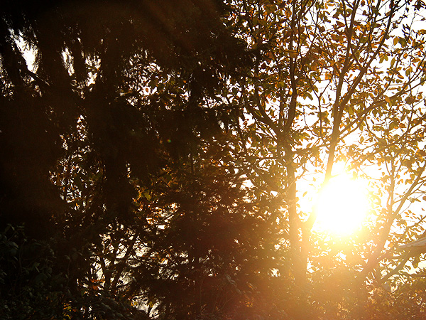 Sunset2