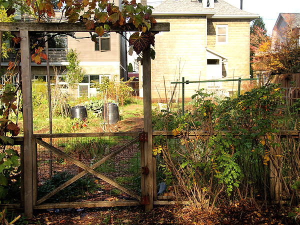 Fence3