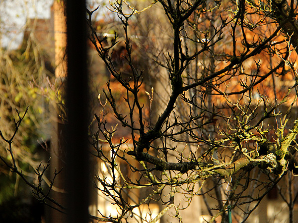 21ThroughTheWindow1