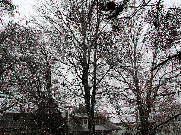 18Snow2