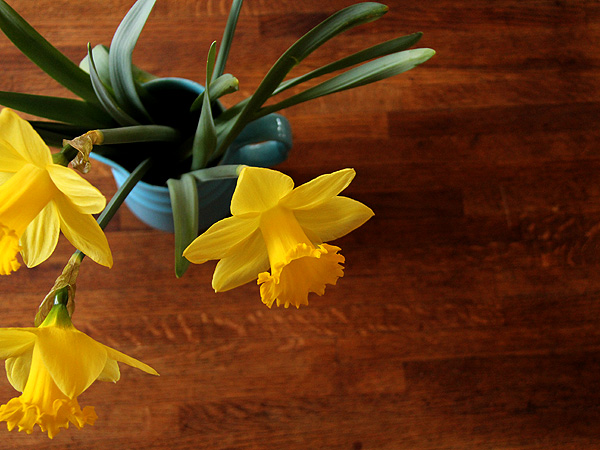 25Daffs1