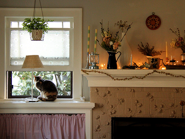 9Mantle2