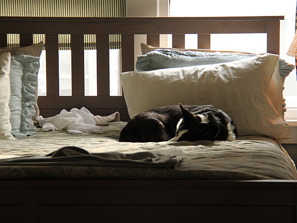 18Sleepy1 18Sleepy1