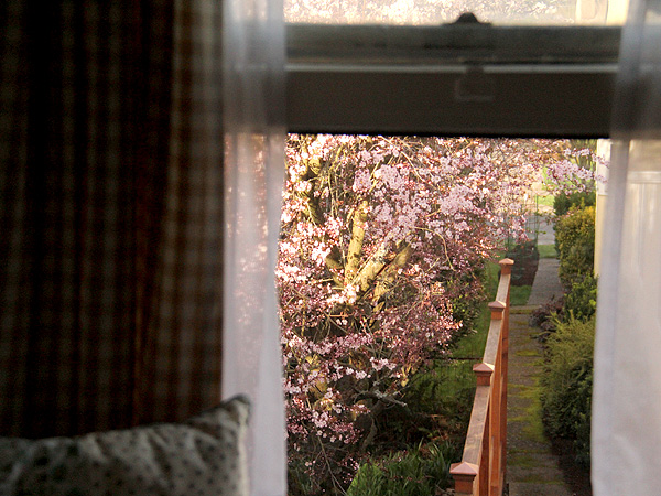 15ThroughHerWindow1