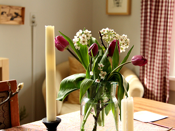 26Tulips1