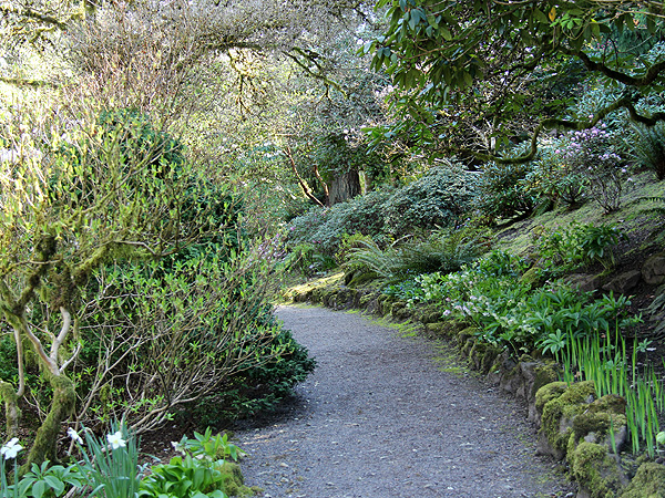 30Garden15 30Garden15