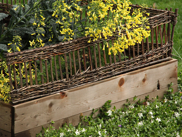 8Garden1