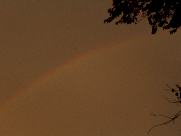 16Rainbow1