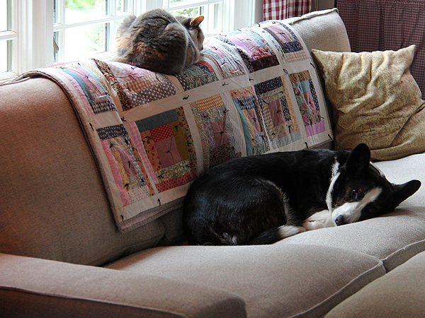 Sofa2