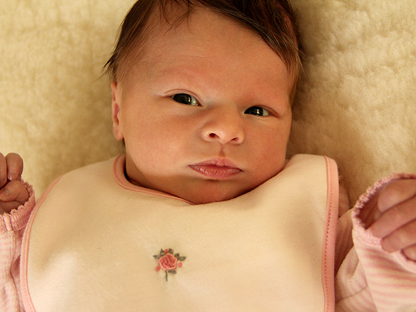 Amelia8