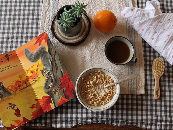 Brekkie1