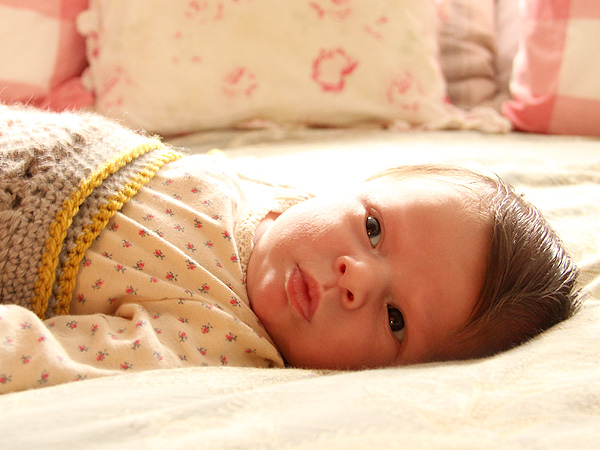 Amelia1