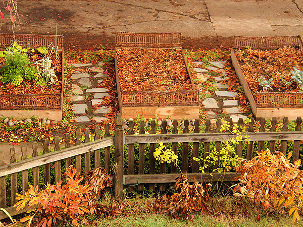 Garden1