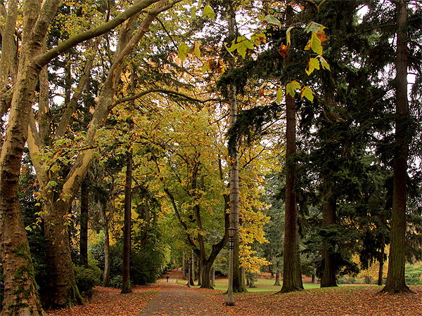 Park1