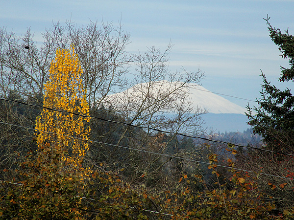 22MtStHelens1