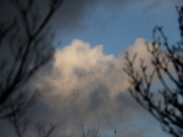 10Sky1