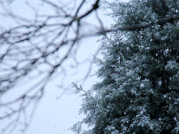 18Snow7