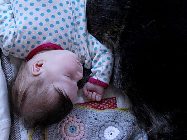 21NanaDog1