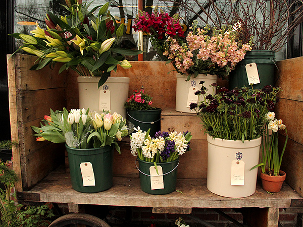 25SpringThings1