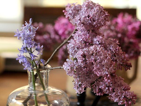 12Lilac1