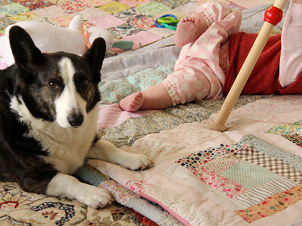 9MyNanaDog1