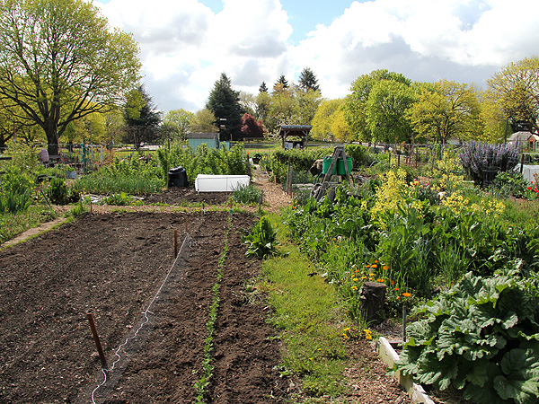 15Garden1