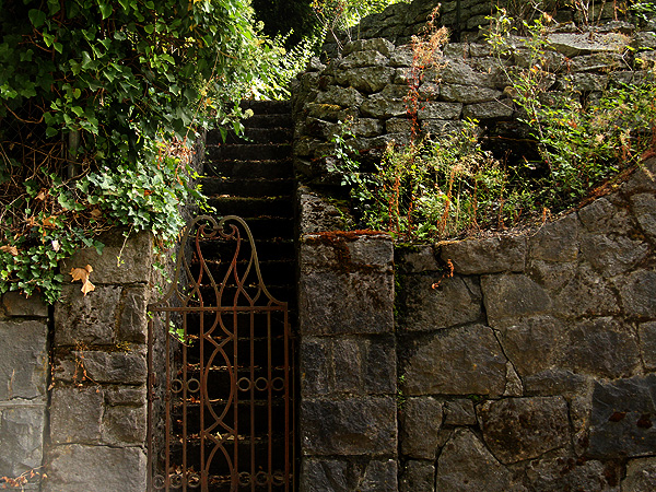 Wall1