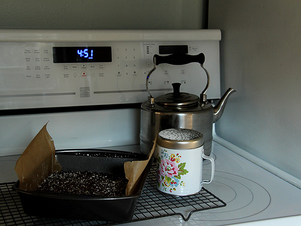 Brownies1