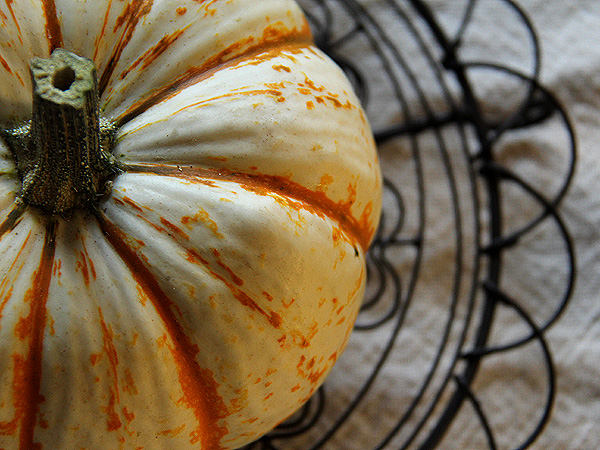 Pumpkin1