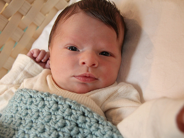 Amelia6