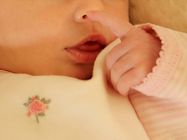 Rosebud2