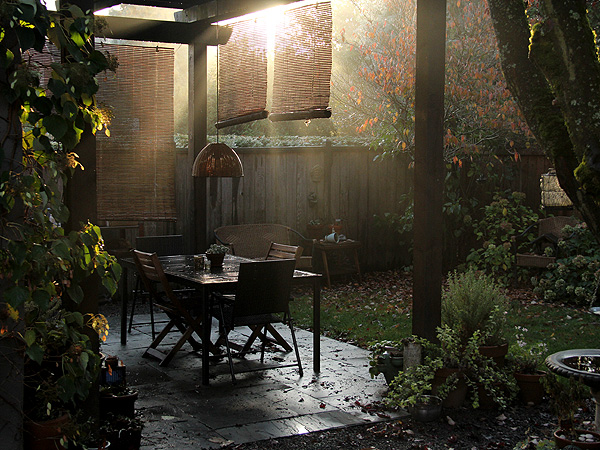 Yard2