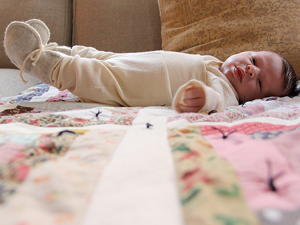 WoolBaby1