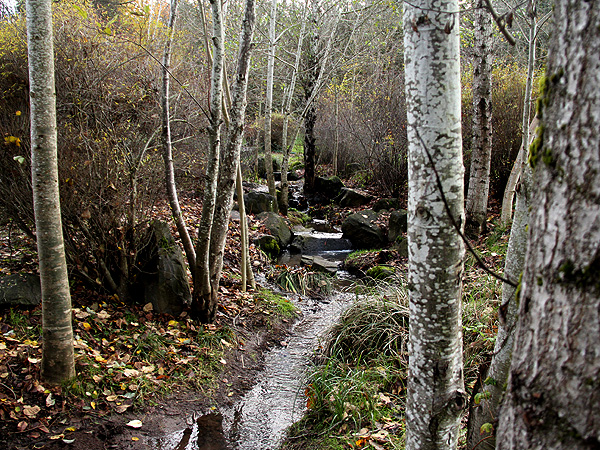 22Creek1