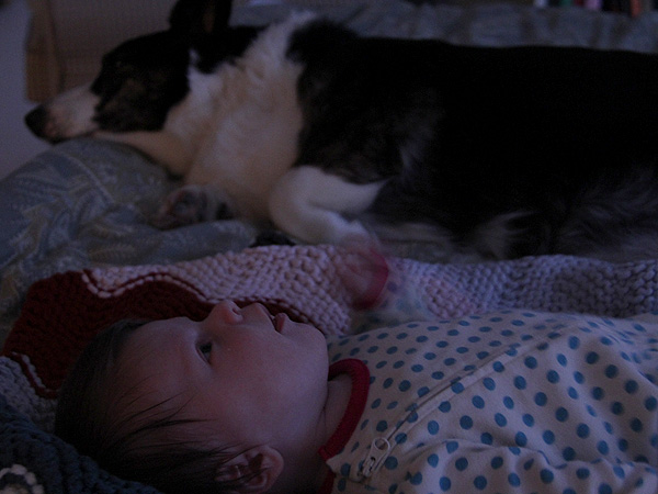 13Morning4