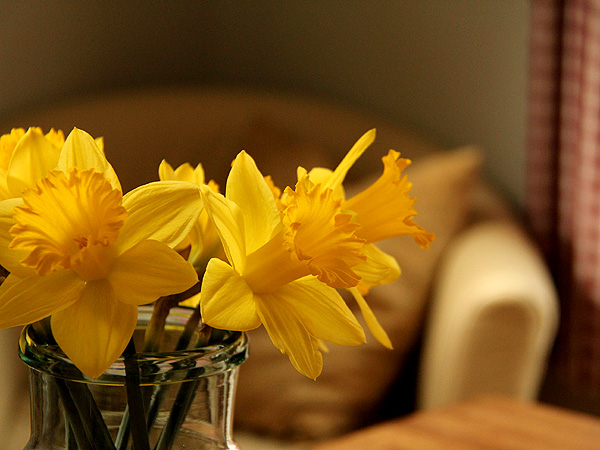 14Daffs1