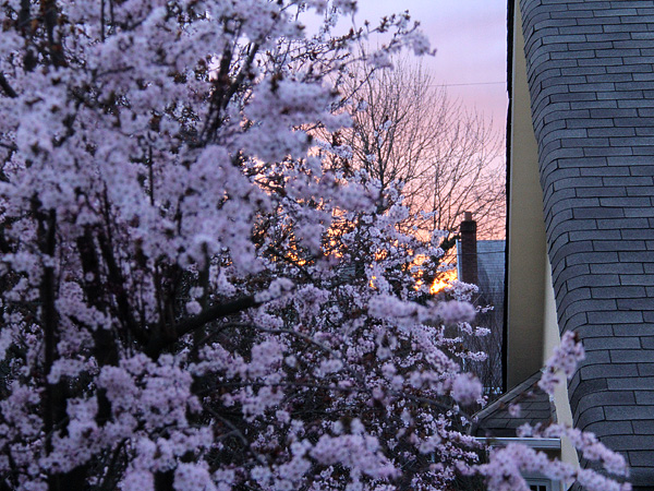 15SpringSunsetFromHerWindow1 15SpringSunsetFromHerWindow1