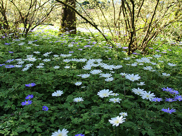 30Garden19 30Garden19