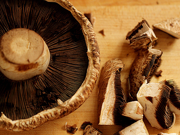 26Mushroom1