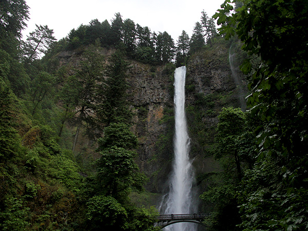 29Multnomah31