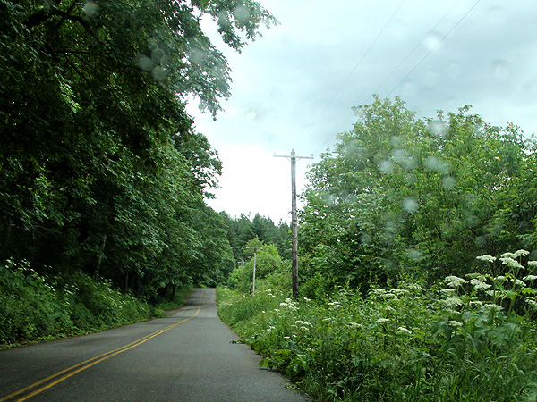 29Multnomah38