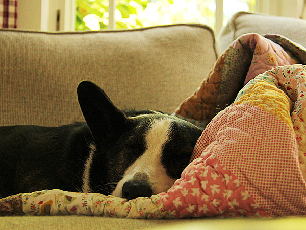 10Sleepy2