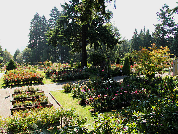 8RoseGarden2