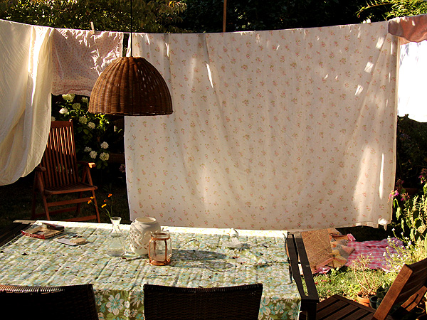 5Laundry2