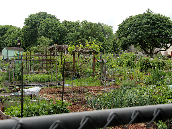 15CommunityGarden1