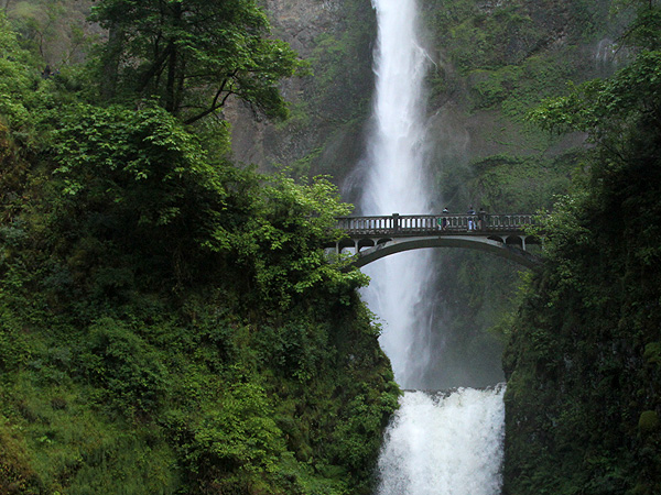 29Multnomah29