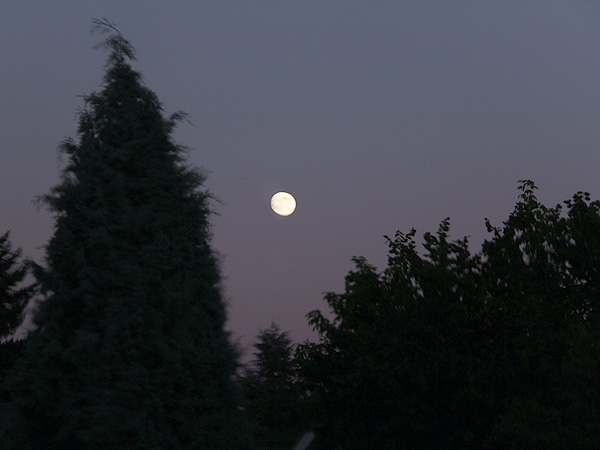 21Moon2