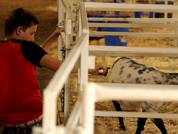 16Fair28
