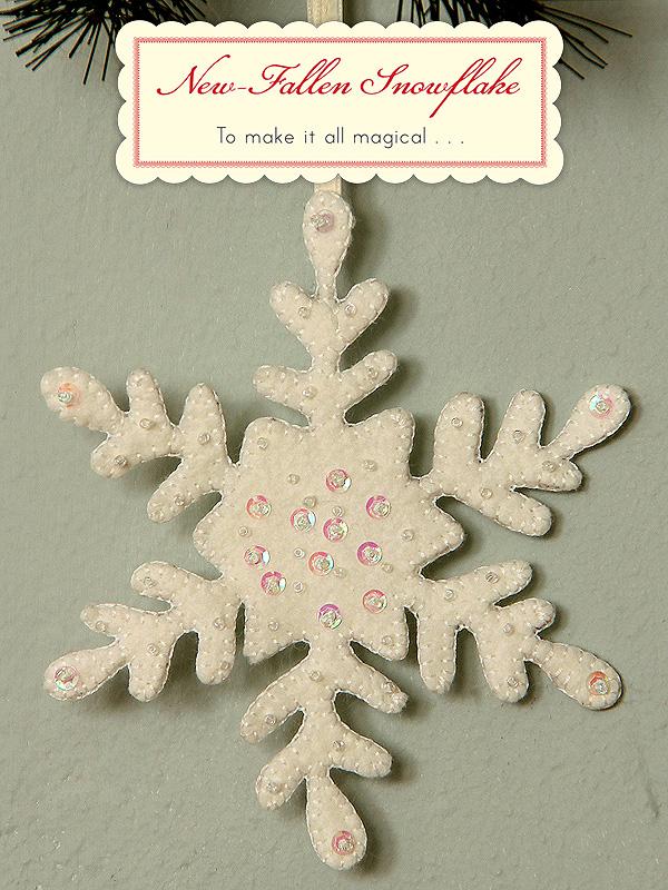 30Ornaments4